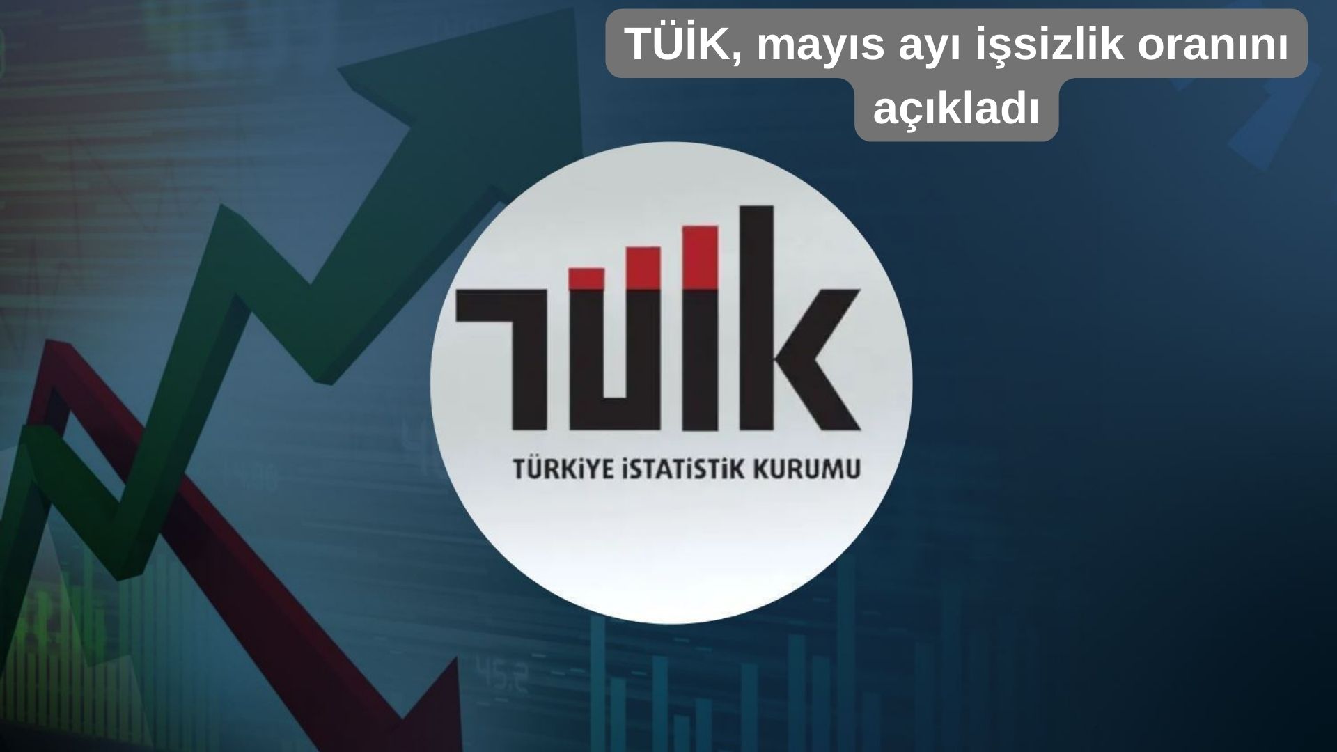 TÜİK, mayıs ayı işsizlik oranını açıkladı