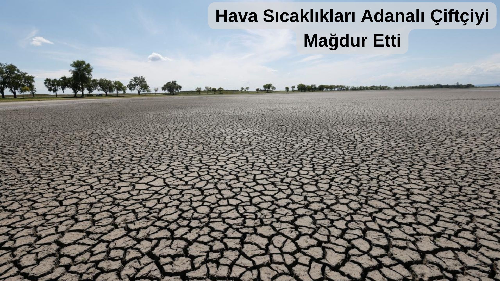 Hava Sıcaklıkları Adanalı Çiftçiyi Mağdur Etti